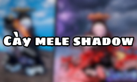 Cày Mele Shadow