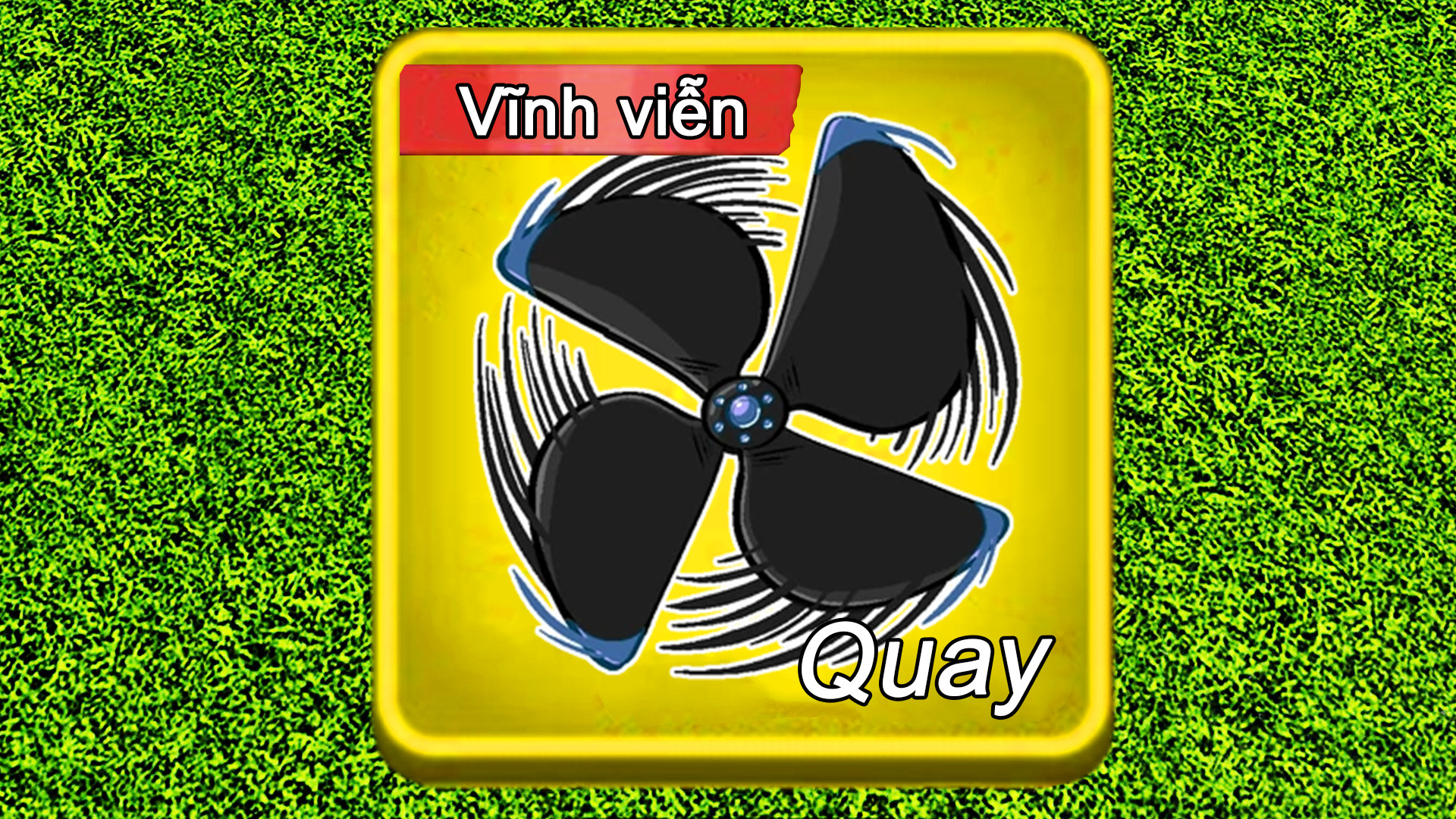 Trái Quay Vĩnh Viễn