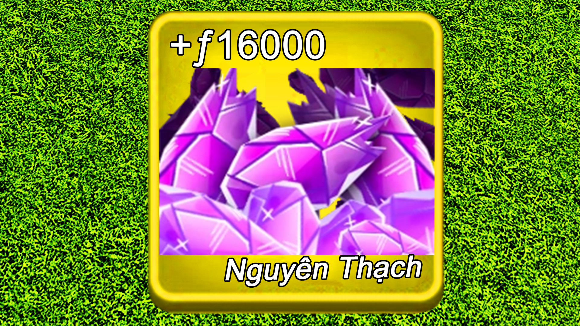 16.000 Nguyên Thạch