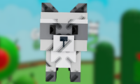 Raccoon
