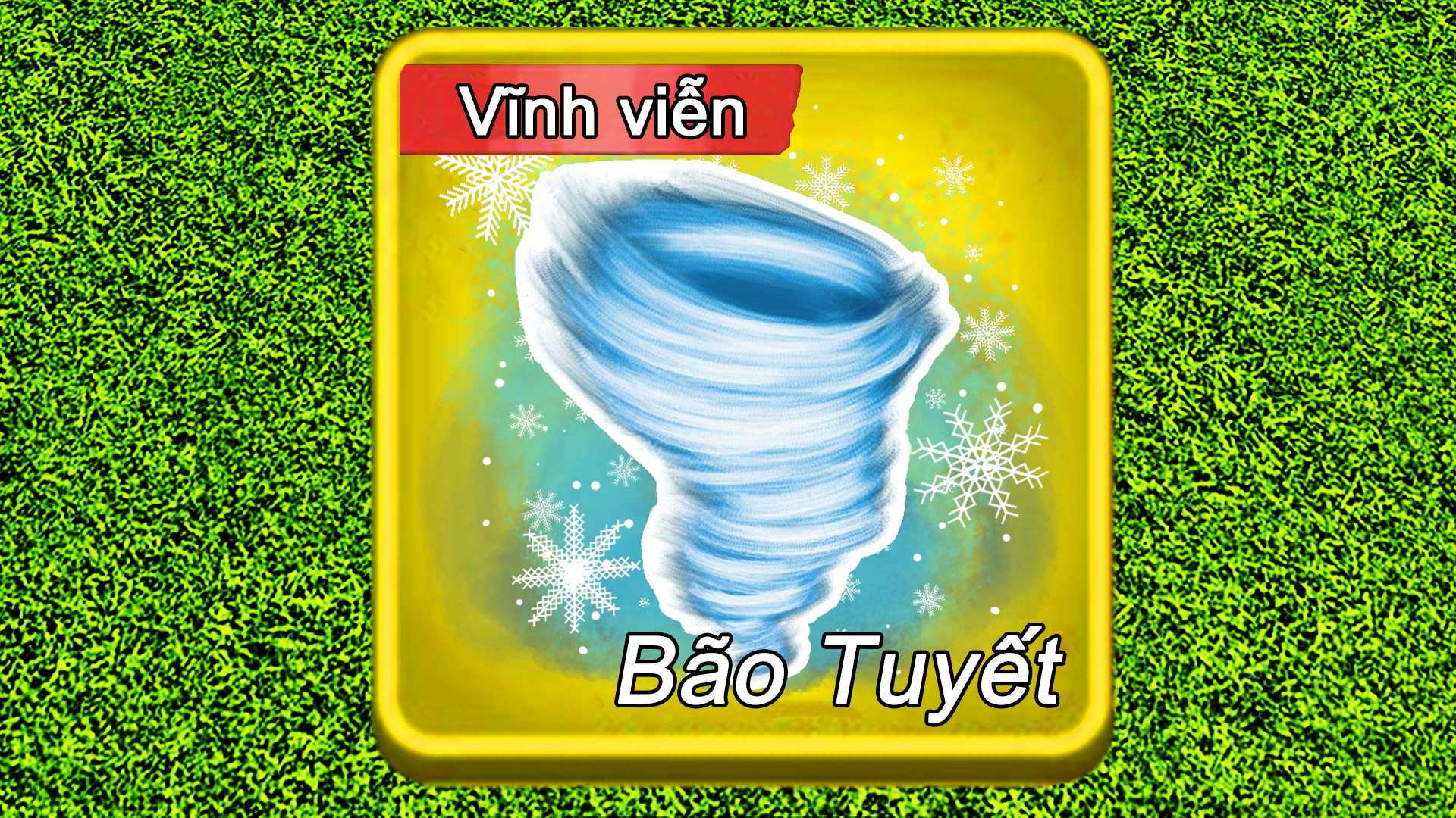 Trái Bão Tuyết Vĩnh Viễn