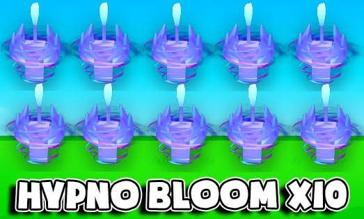 Hypno Bloom x10