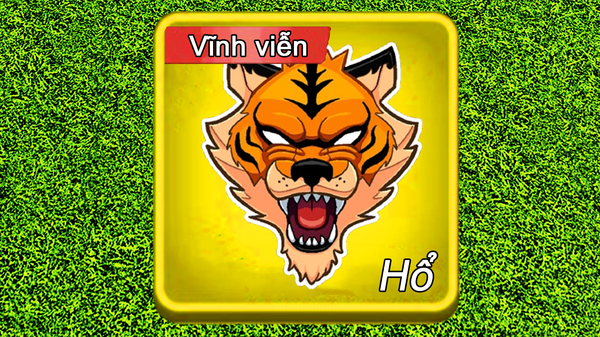 Trái Hổ Vĩnh Viễn