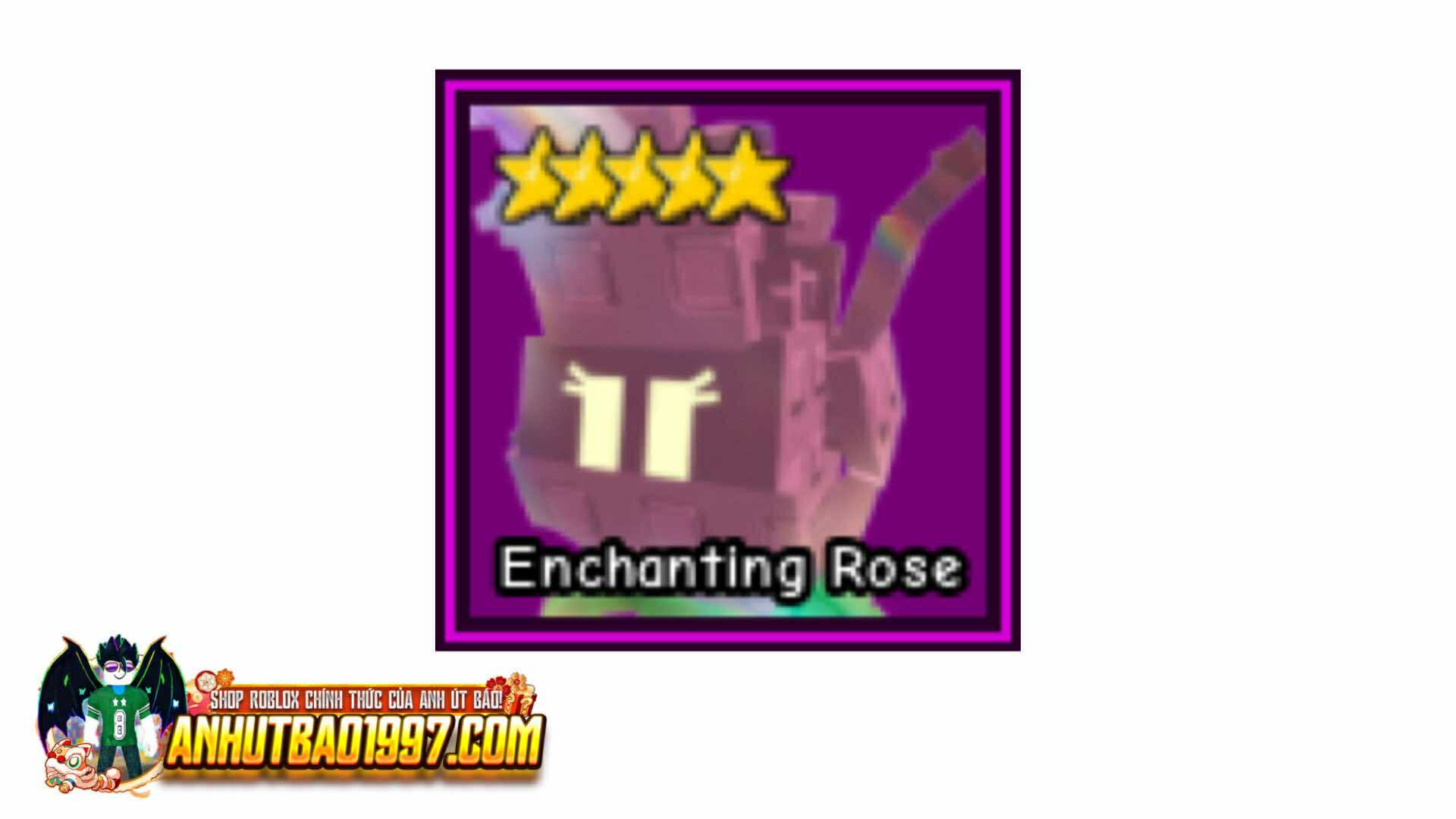 Enchanting Rose (hoa kỳ diệu)