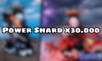 Power Shard x30.000