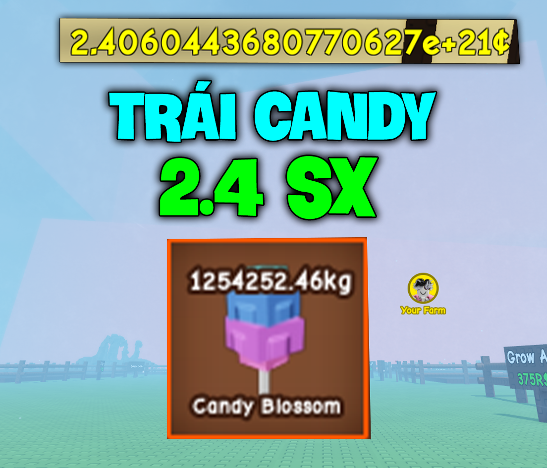 5 Trái 2.4 SX ( Cây Candy Bloosom 1.200.000KG )