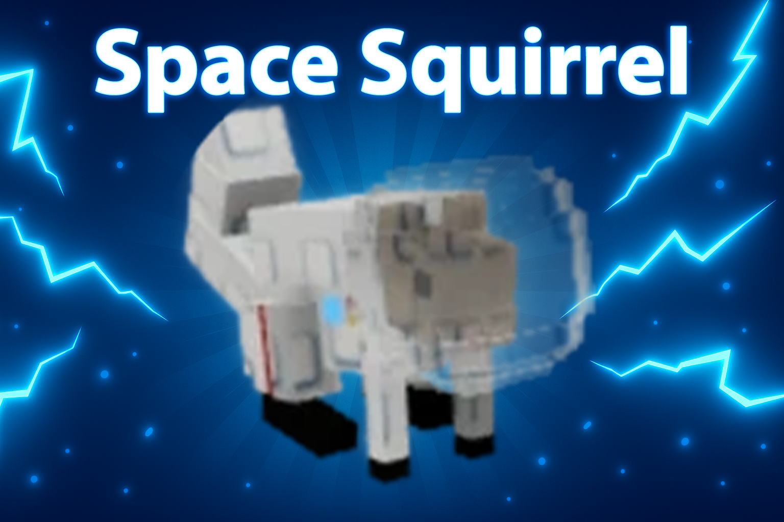 Space Squirrel