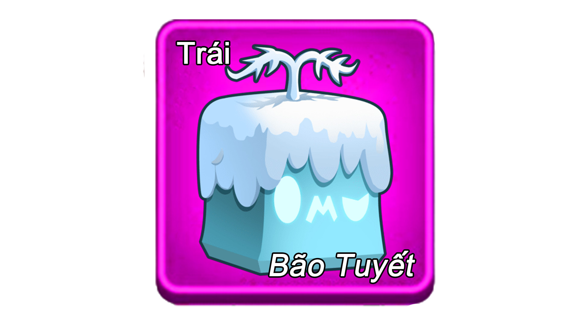 Trái Bão Tuyết