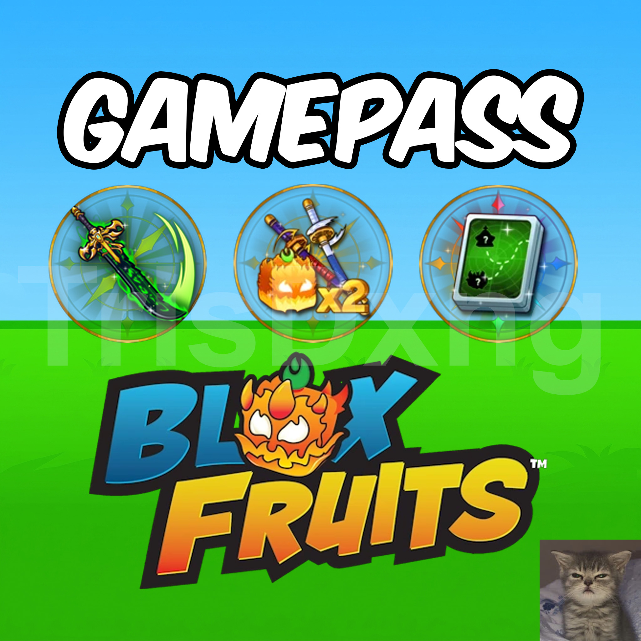DỊCH VỤ GAMEPASS BLOX FRUITS