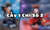 Cày 1 Chỉ Số Z