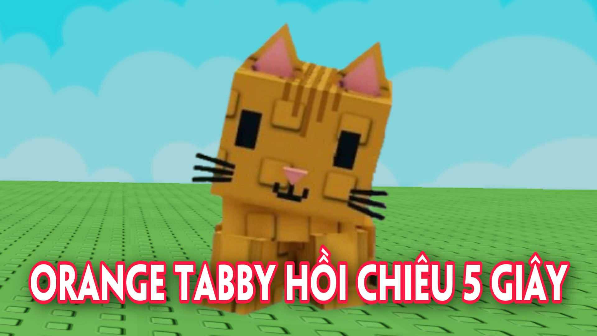 ORANGE TABBY HỒI CHIÊU 5 GIÂY