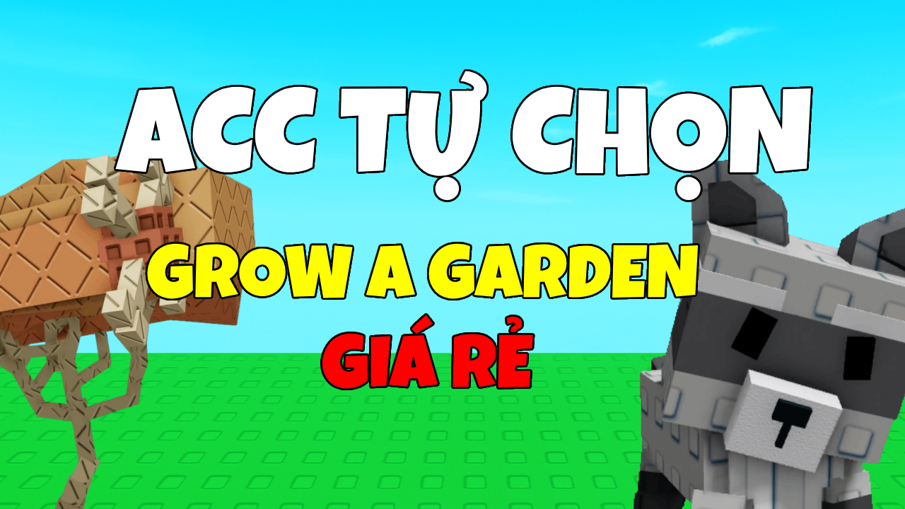 ACC TỰ CHỌN