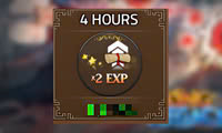 x2 Exp 4 Hours