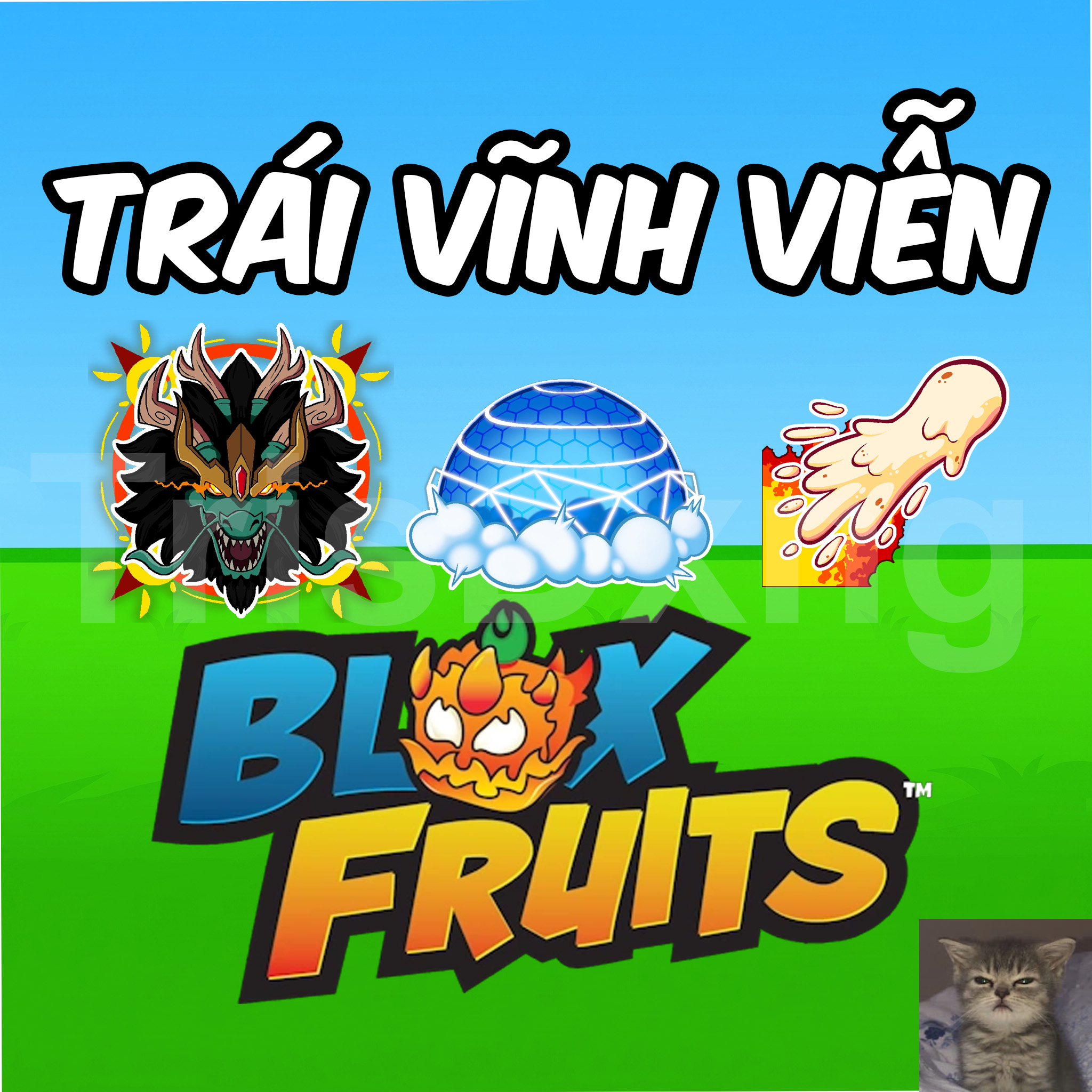 DỊCH VỤ TRÁI ÁC QUỶ VĨNH VIỄN BLOX FRUITS