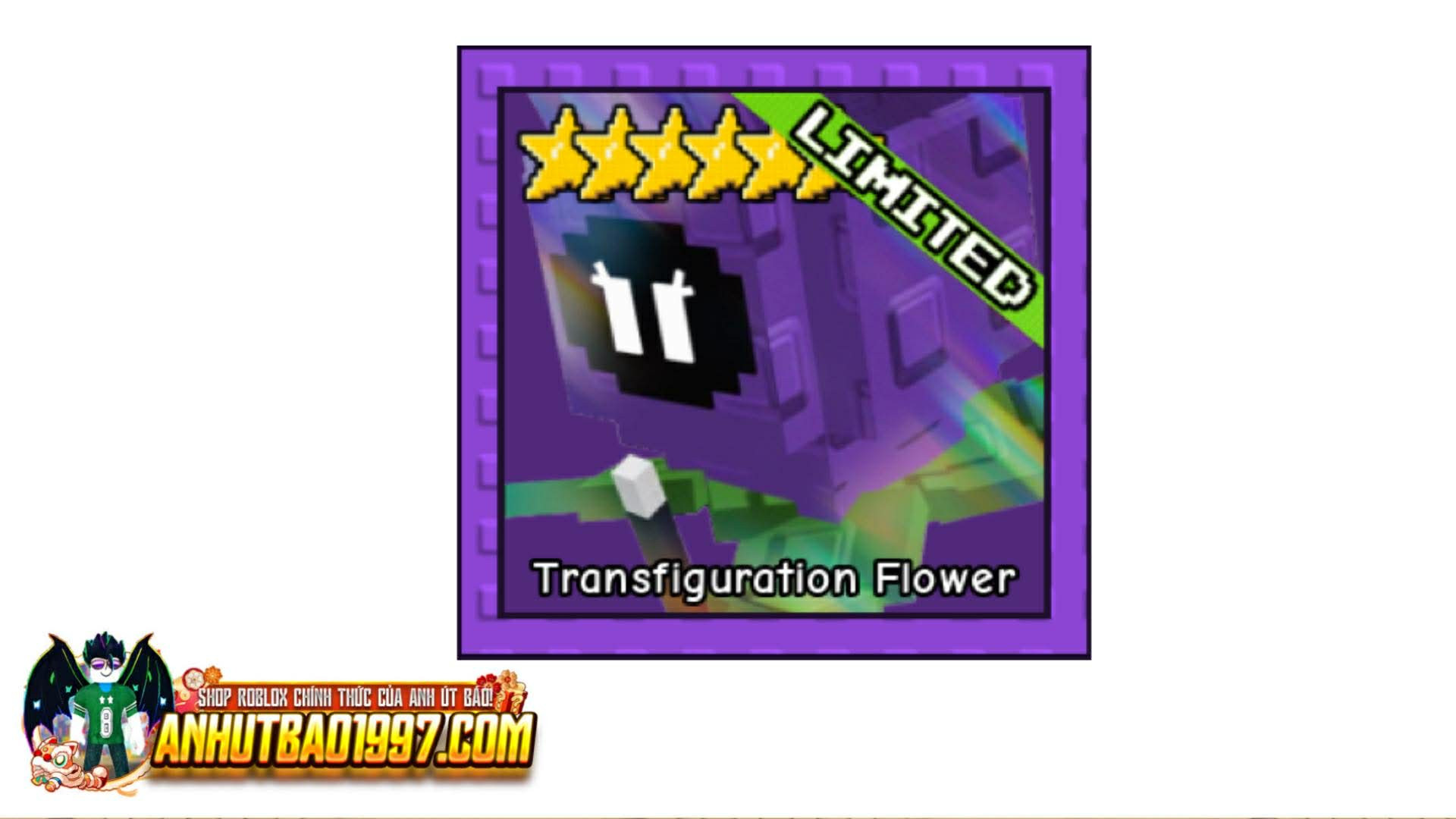 Transfiguration Flower