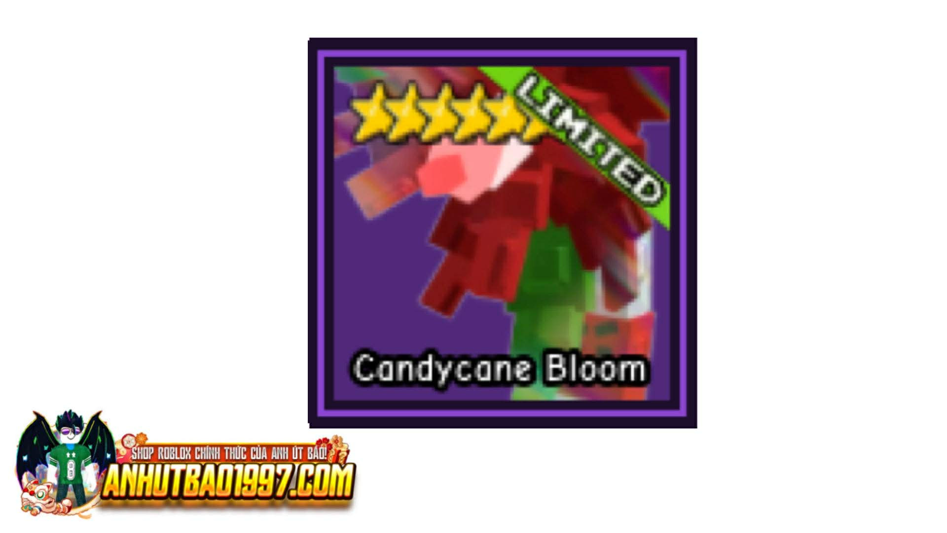 Candy cane Bloom