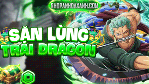 SĂN LÙNG TRÁI DRAGON