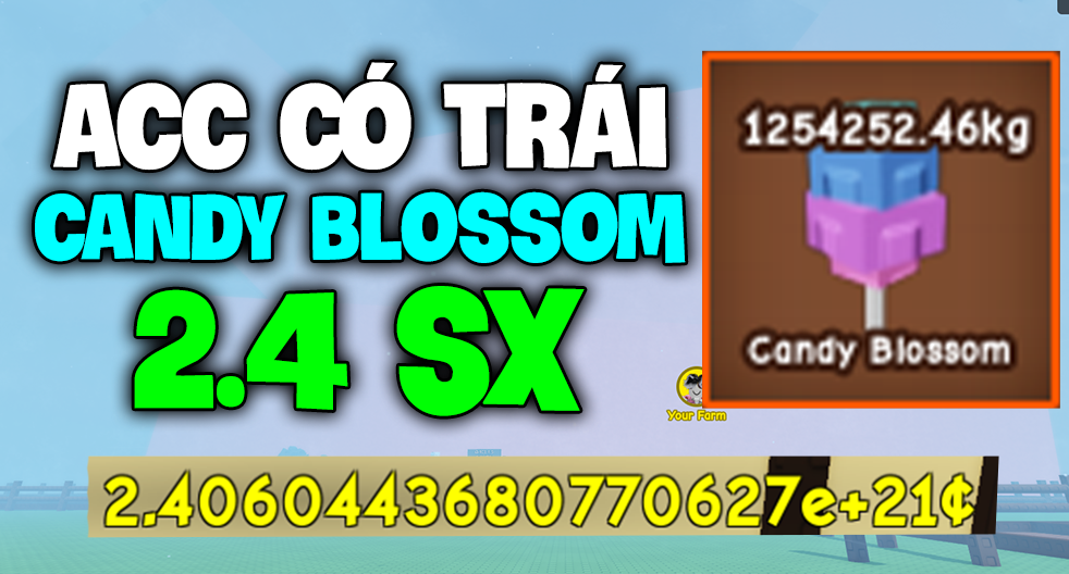 Acc có Trái 2.4 SX ( Trái Candy 1.200.000KG )