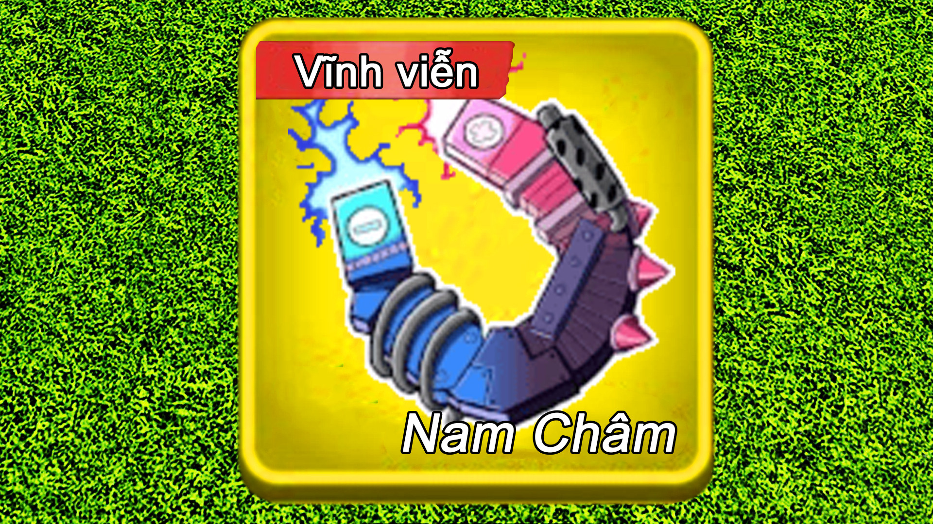 Trái Nam Châm Vĩnh Viễn