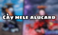Cày Mele Alucard 