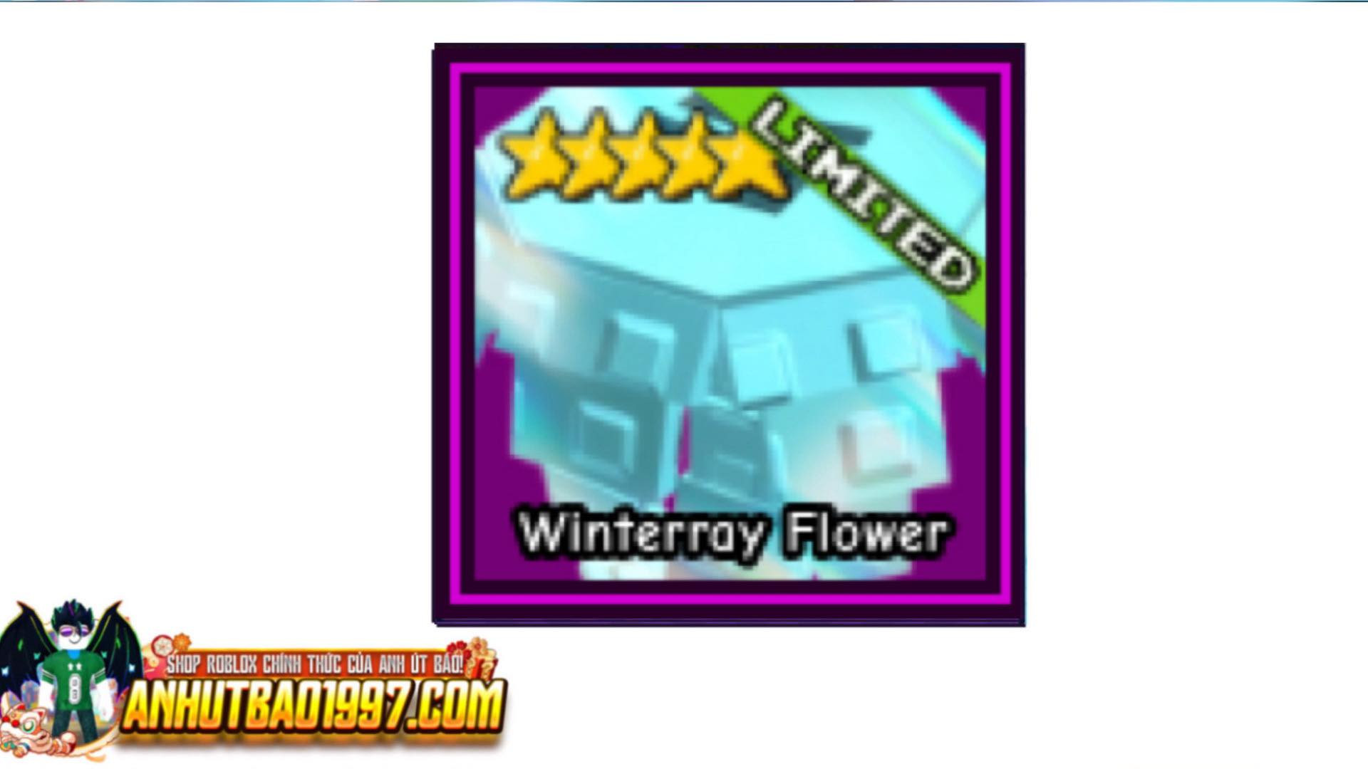 Winterray Flower