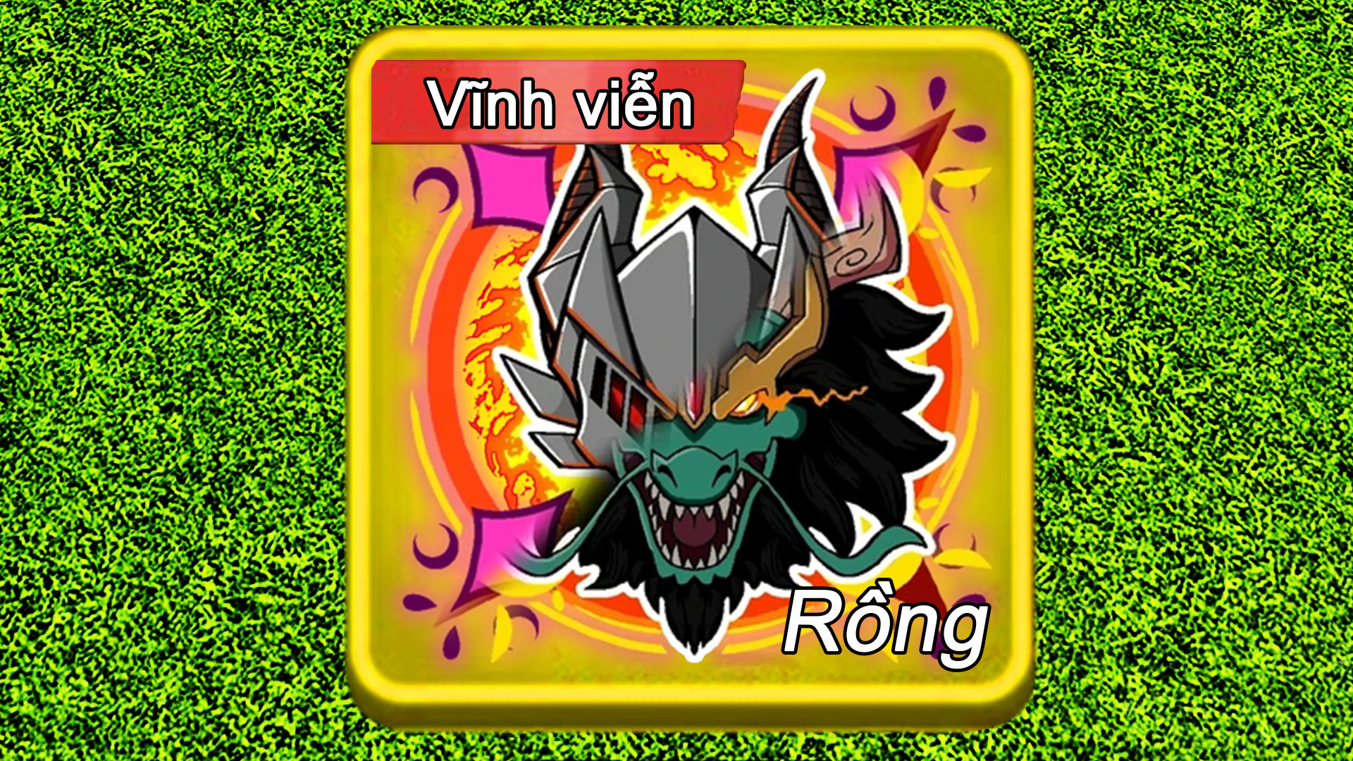 Trái Rồng Vĩnh Viễn