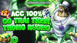 ACC GOD HUMAN + TIGER TRONG RƯƠNG