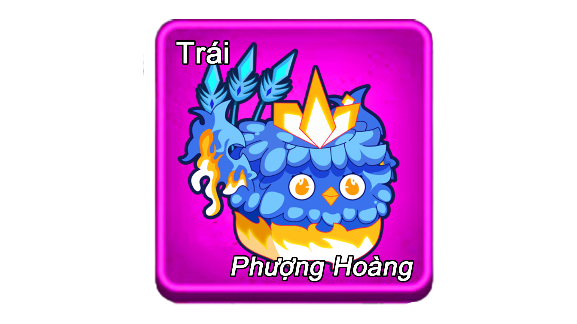 Trái Phượng Hoàng