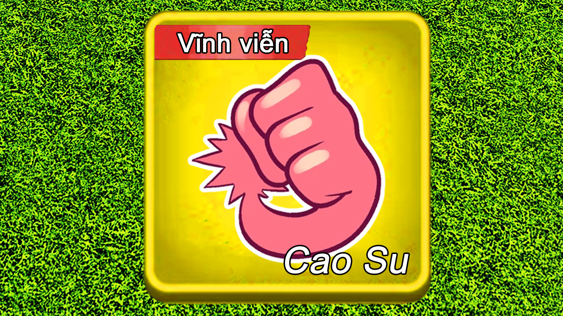 Trái Cao Su Vĩnh Viễn